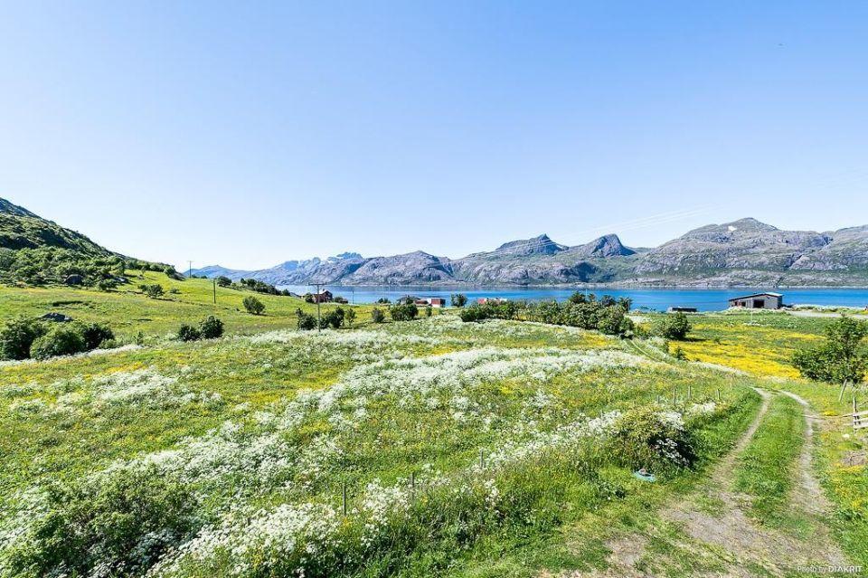 Vevika Lofoten Βίλα Gravdal  Εξωτερικό φωτογραφία